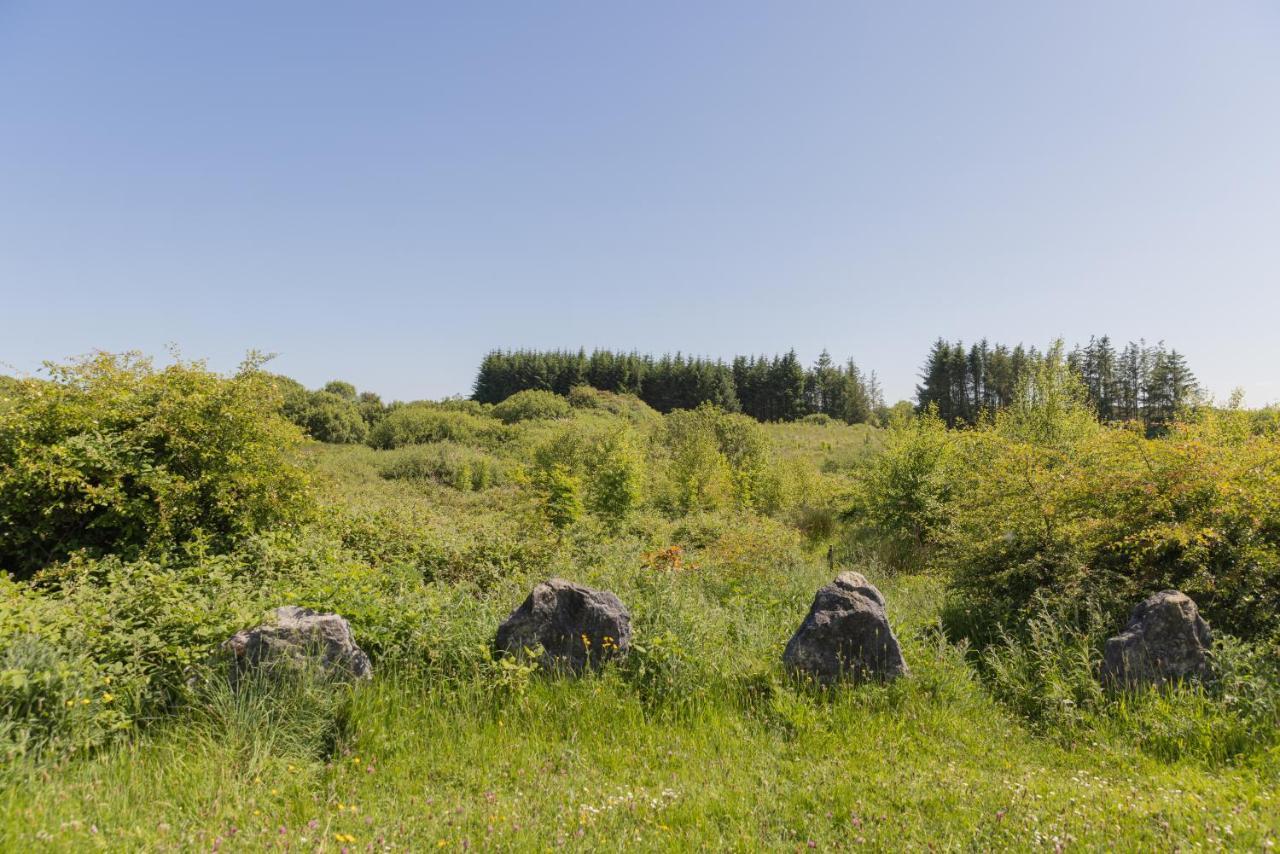 Ostello The Common Knowledge Centre Kilfenora Esterno foto